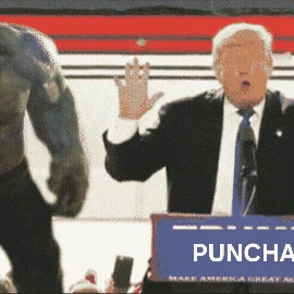 Puncha Not See